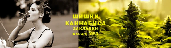 PSILOCYBIN Арсеньев