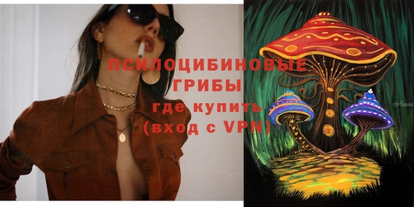 PSILOCYBIN Арсеньев