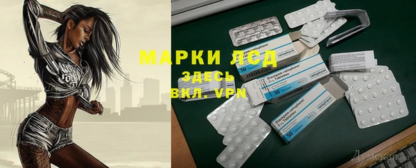 дживик Аркадак