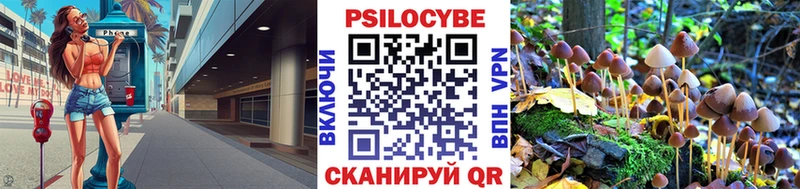 shop какой сайт  купить закладку  Урень  Псилоцибиновые грибы Psilocybe 